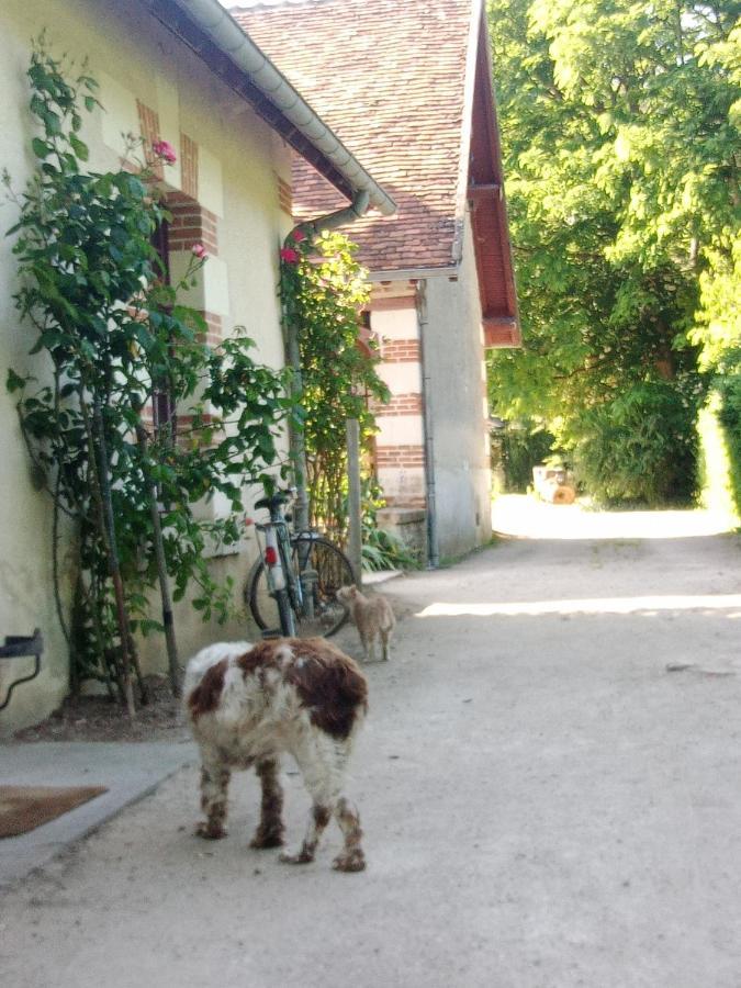 Cottages Et B&B De Troussay Cheverny Bagian luar foto