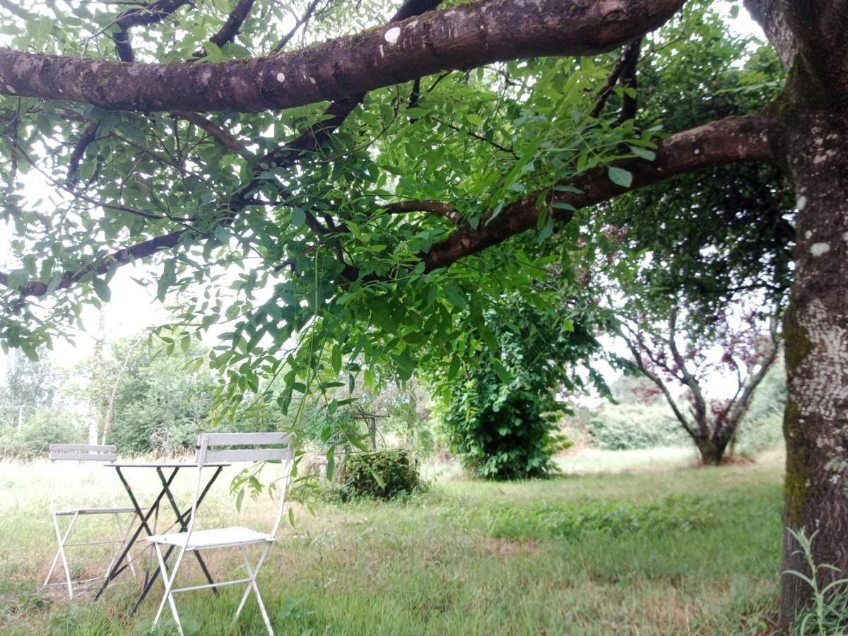 Cottages Et B&B De Troussay Cheverny Bagian luar foto